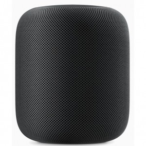 Apple HomePod Space Gray MQHW2
