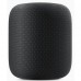 Apple HomePod Space Gray MQHW2