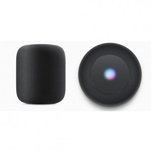 Apple HomePod Space Gray MQHW2
