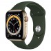 Apple Watch Series 6 4G 44mm Gold Stainless Steel Case With Cyprus Green Sport Band M09F3