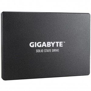 Gigabyte GP-GSTFS31256GTND 2.5 256GB