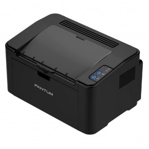 Pantum P2207