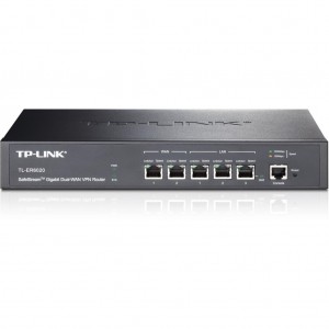 TP-Link TL-ER6020