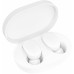 Xiaomi Mi AirDots ZBW4420GL Earbuds White